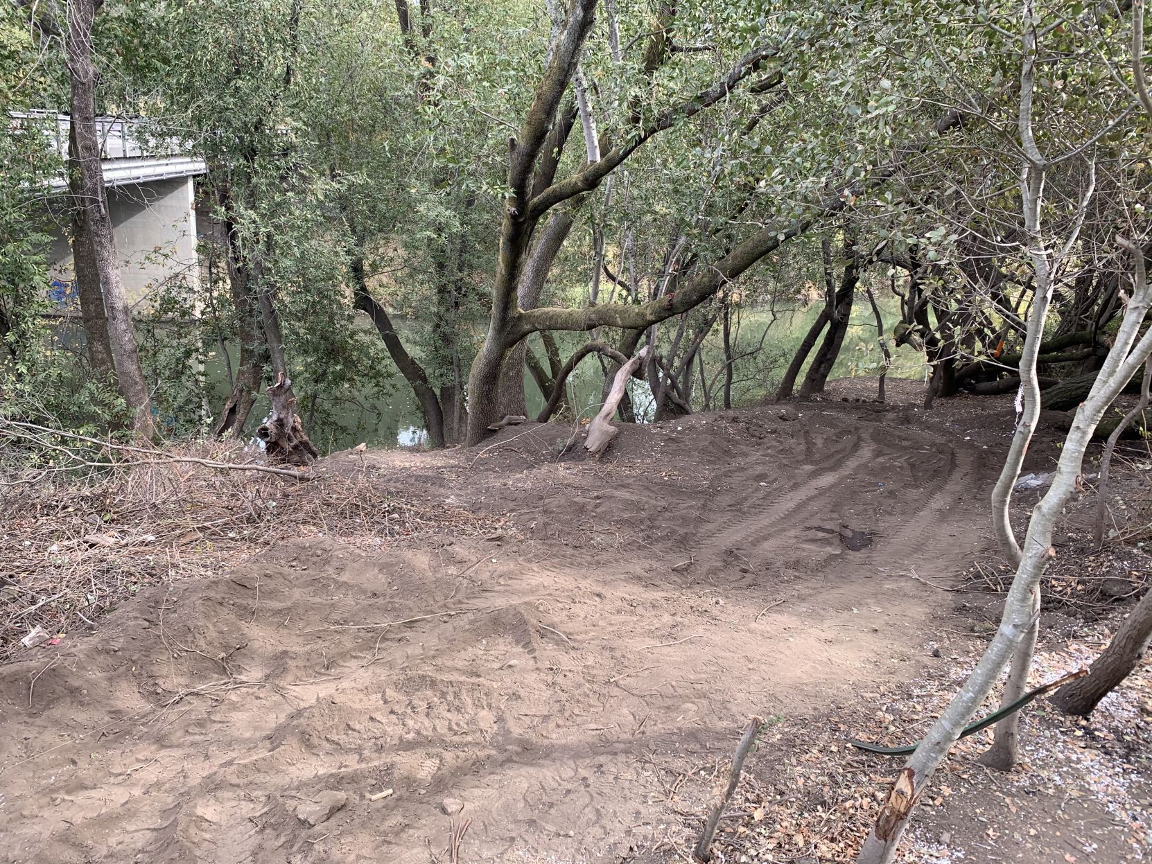 Napa homeless camp